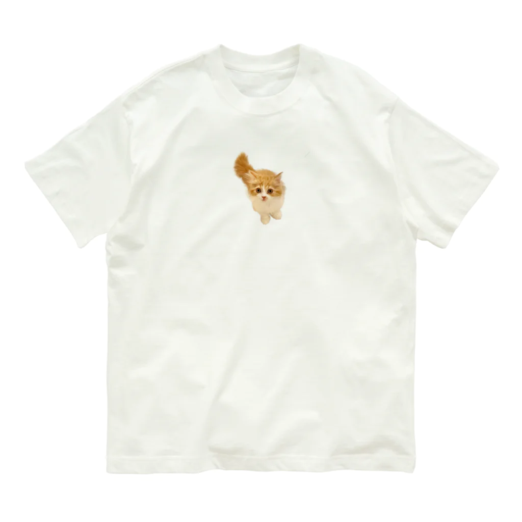 recy_coのこっちをみるねこ オーガニックコットンTシャツ