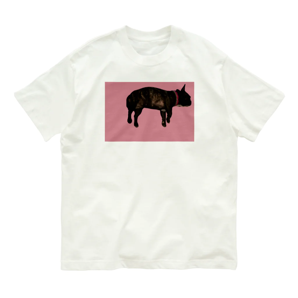 イレブンラグのルーシーマイヤー／LUCY MEYER オーガニックコットンTシャツ