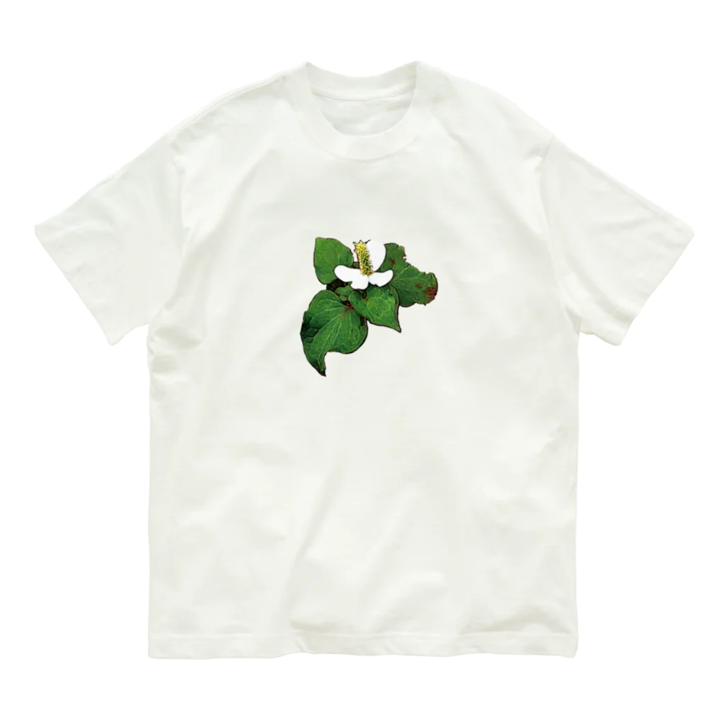 sanobunのドクダミ Organic Cotton T-Shirt