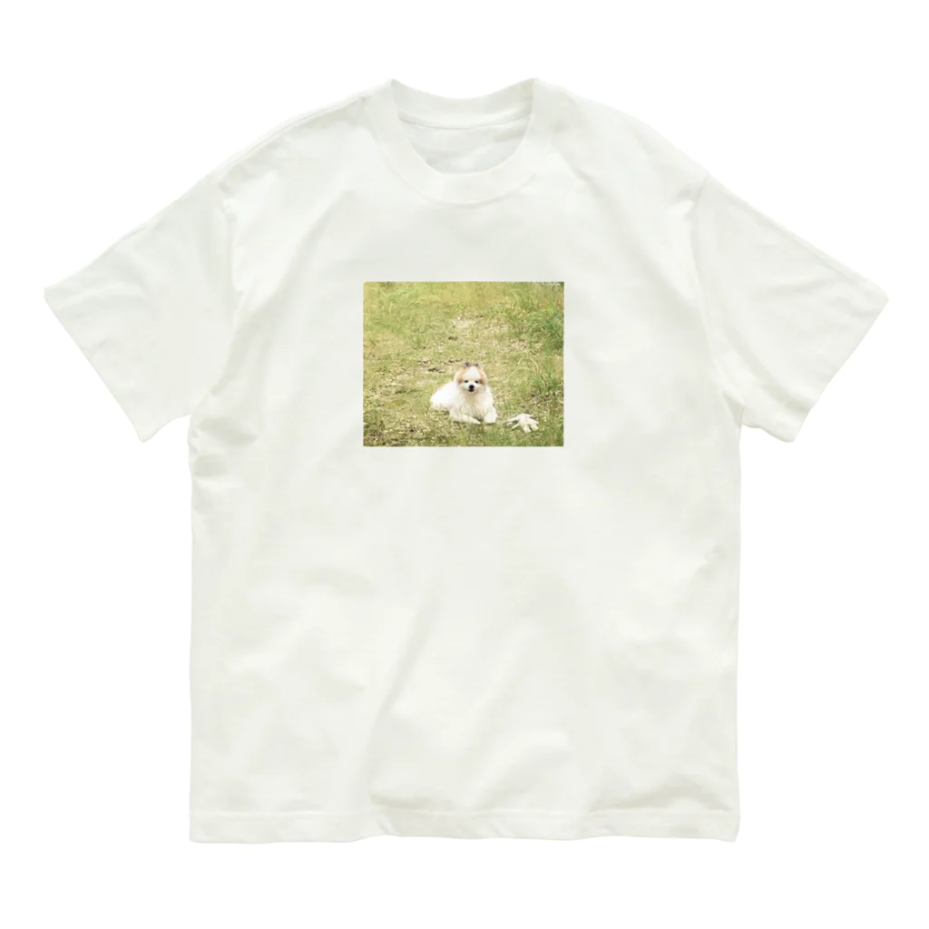 HOPEの遊び疲れた犬 オーガニックコットンTシャツ