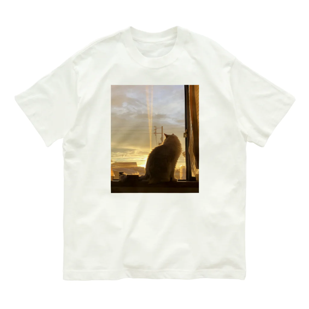 HOPEの夕方の猫 オーガニックコットンTシャツ