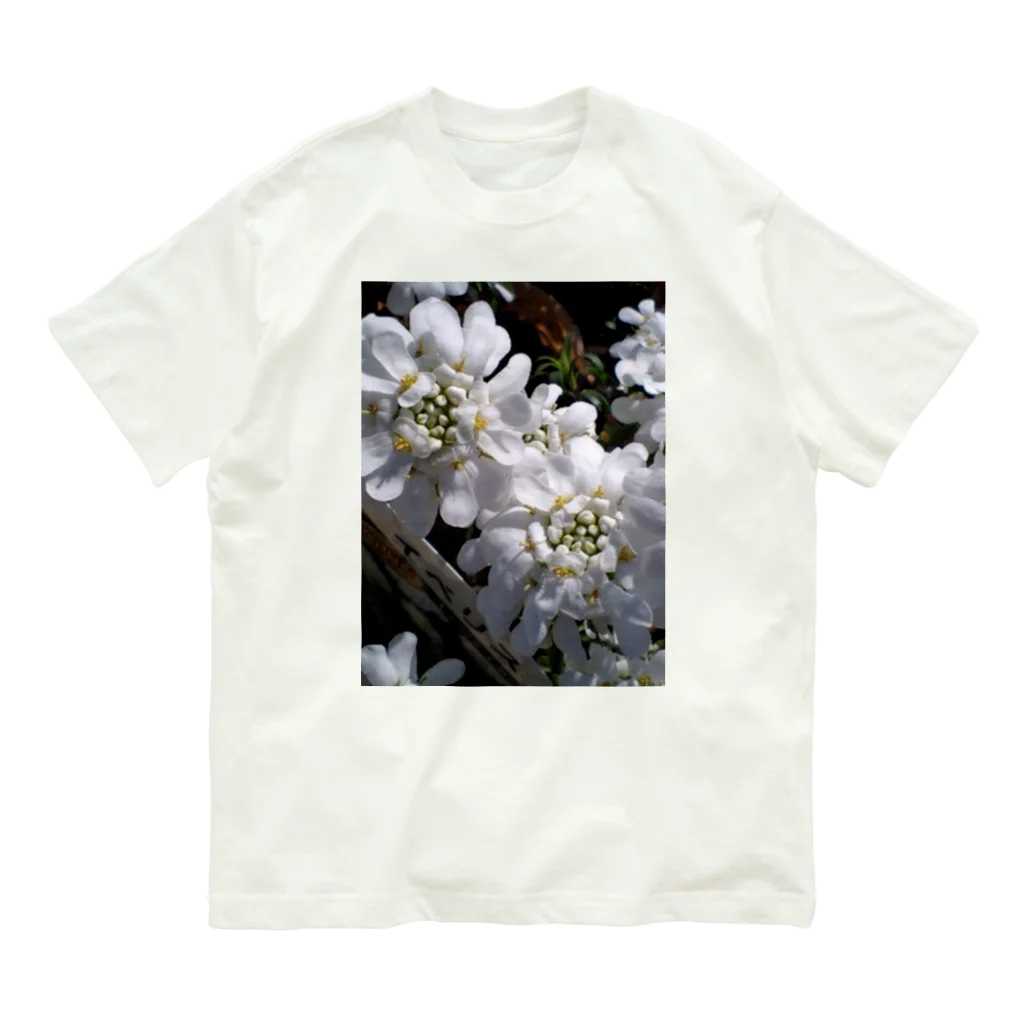 Dreamscape(LUNA)のシュガーキャンディー Organic Cotton T-Shirt