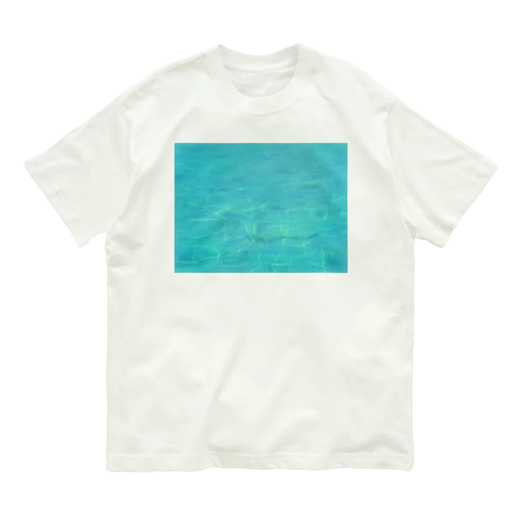 ガジュマルの箱のニシ浜ブルー Organic Cotton T-Shirt