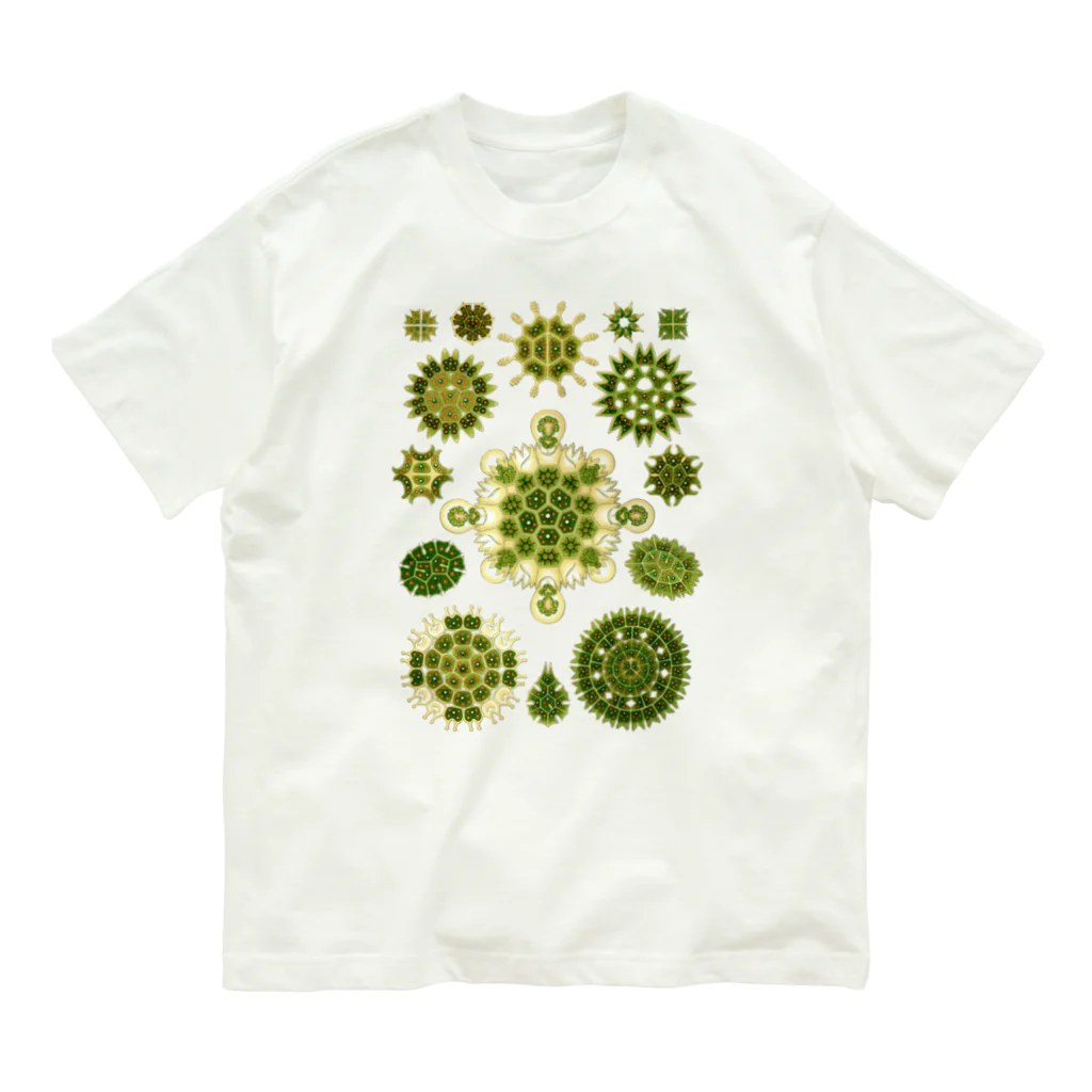 くらりのKunstformen_Melethallia Organic Cotton T-Shirt