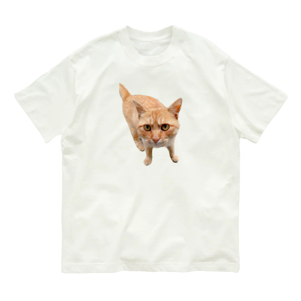 sukiatsumeの見つめるトラ猫 オーガニックコットンTシャツ