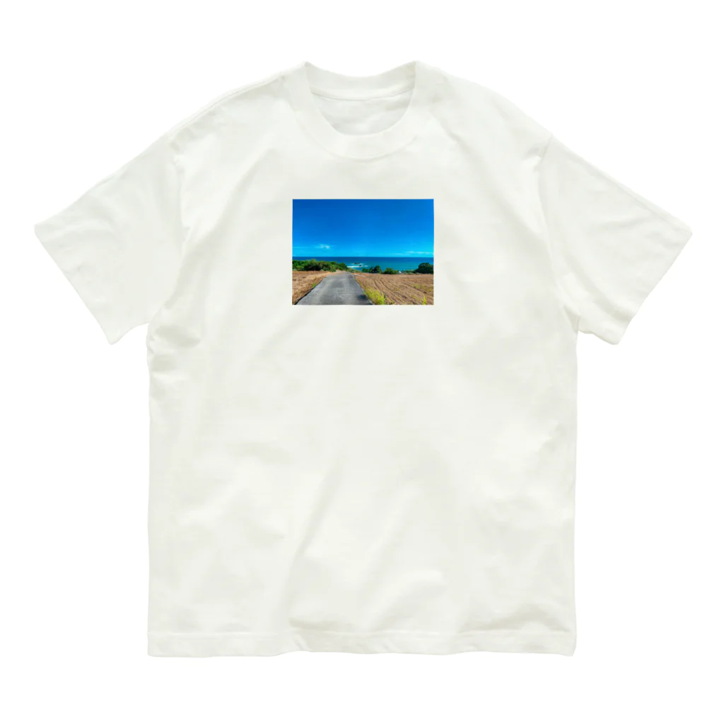 あらいぐまの水平線 オーガニックコットンTシャツ