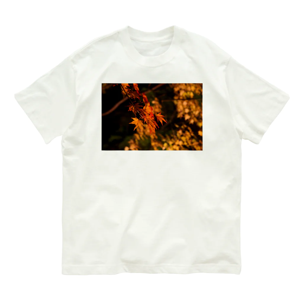 nokkccaのライトアップ紅葉 - Japanese maple(night shot) - Organic Cotton T-Shirt