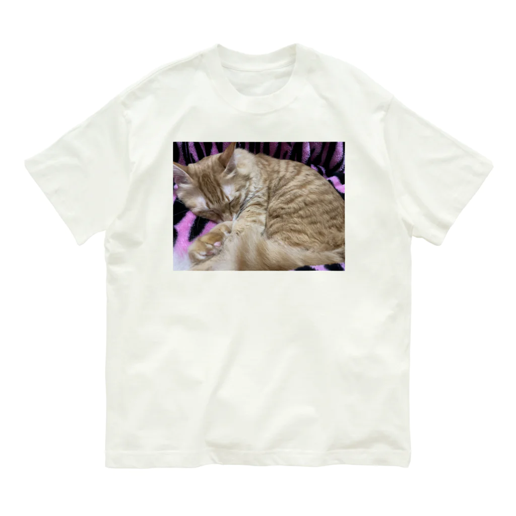 トロールショップの我が家のお眠り中の猫 Organic Cotton T-Shirt