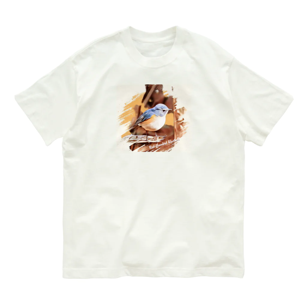 jun-hoshiのルリビタキ ♂ オーガニックコットンTシャツ