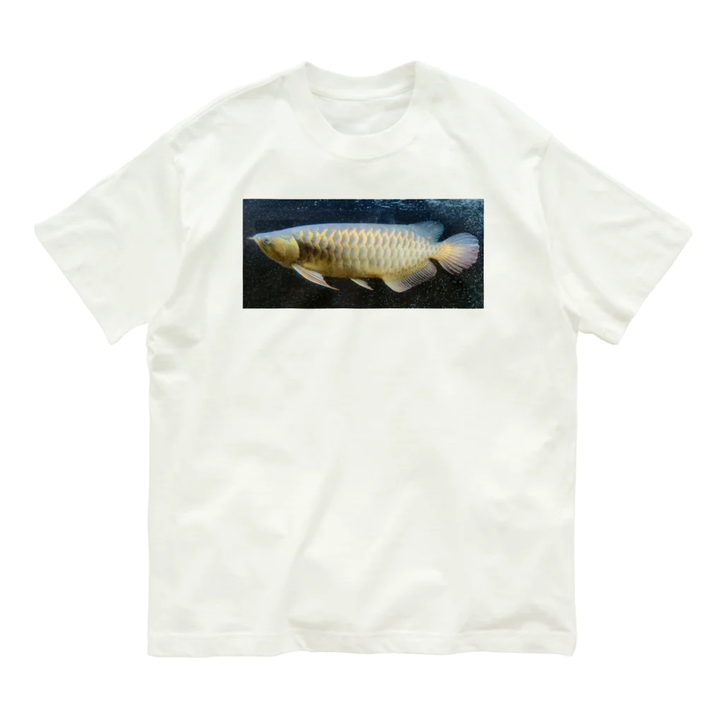 KazFishの過背金龍 Organic Cotton T-Shirt