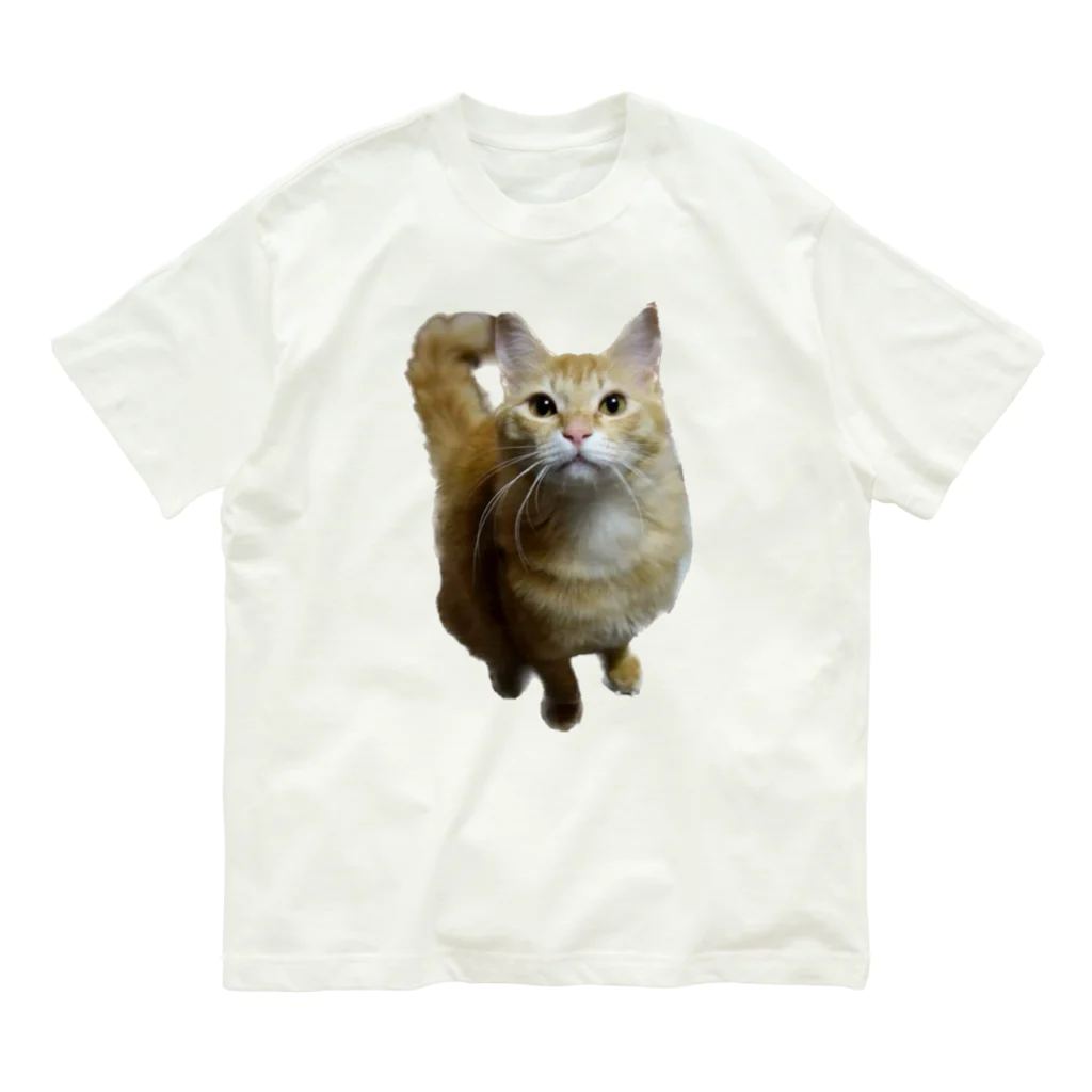 トロールショップの我が家のお猫様が見てます(笑) オーガニックコットンTシャツ