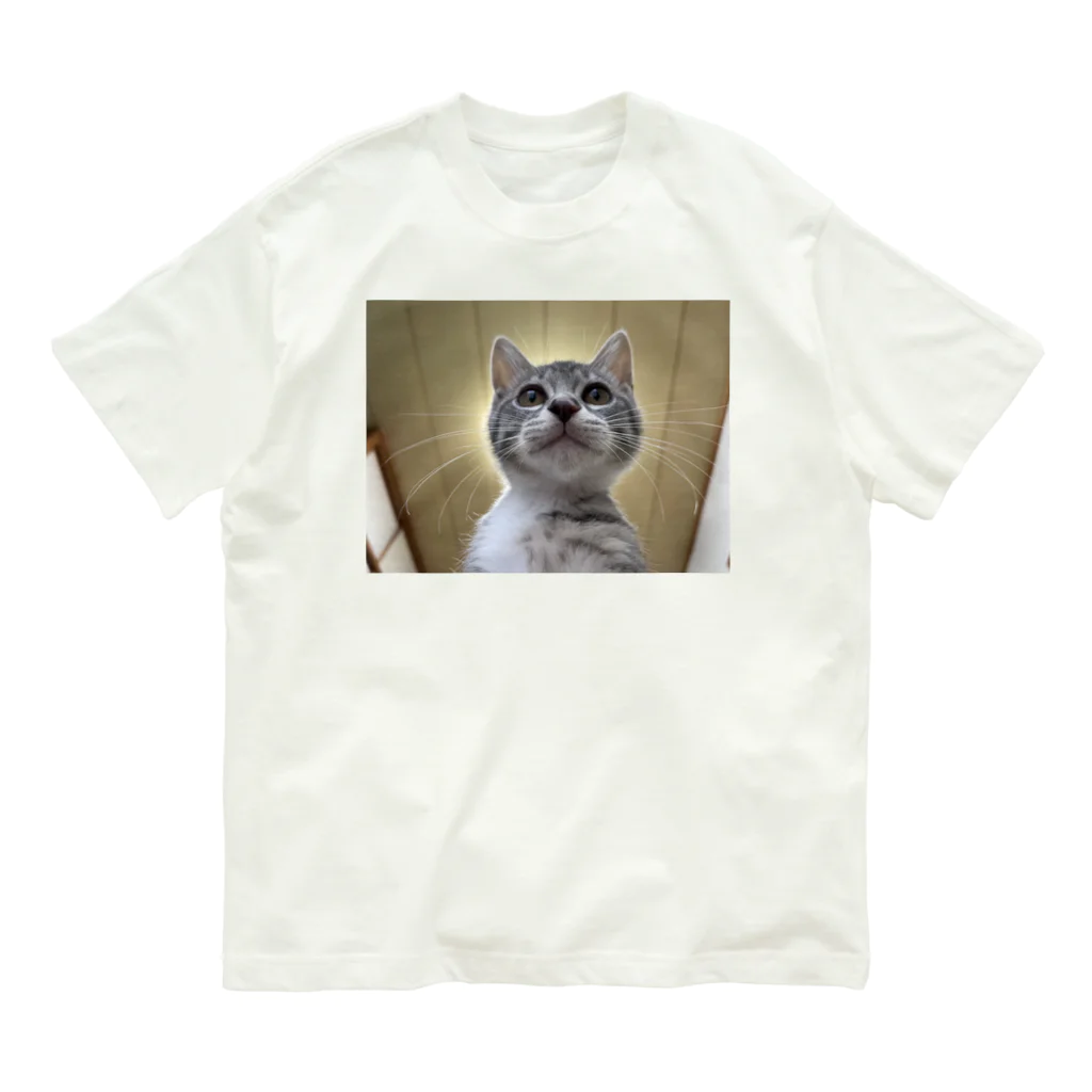 Vegeta_cat22の保護猫ベジータ　神 Organic Cotton T-Shirt