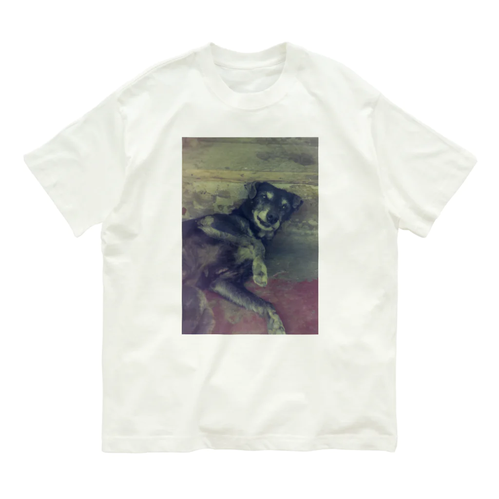 Robin_Hiroshimaのリスボンのワンコさん Organic Cotton T-Shirt