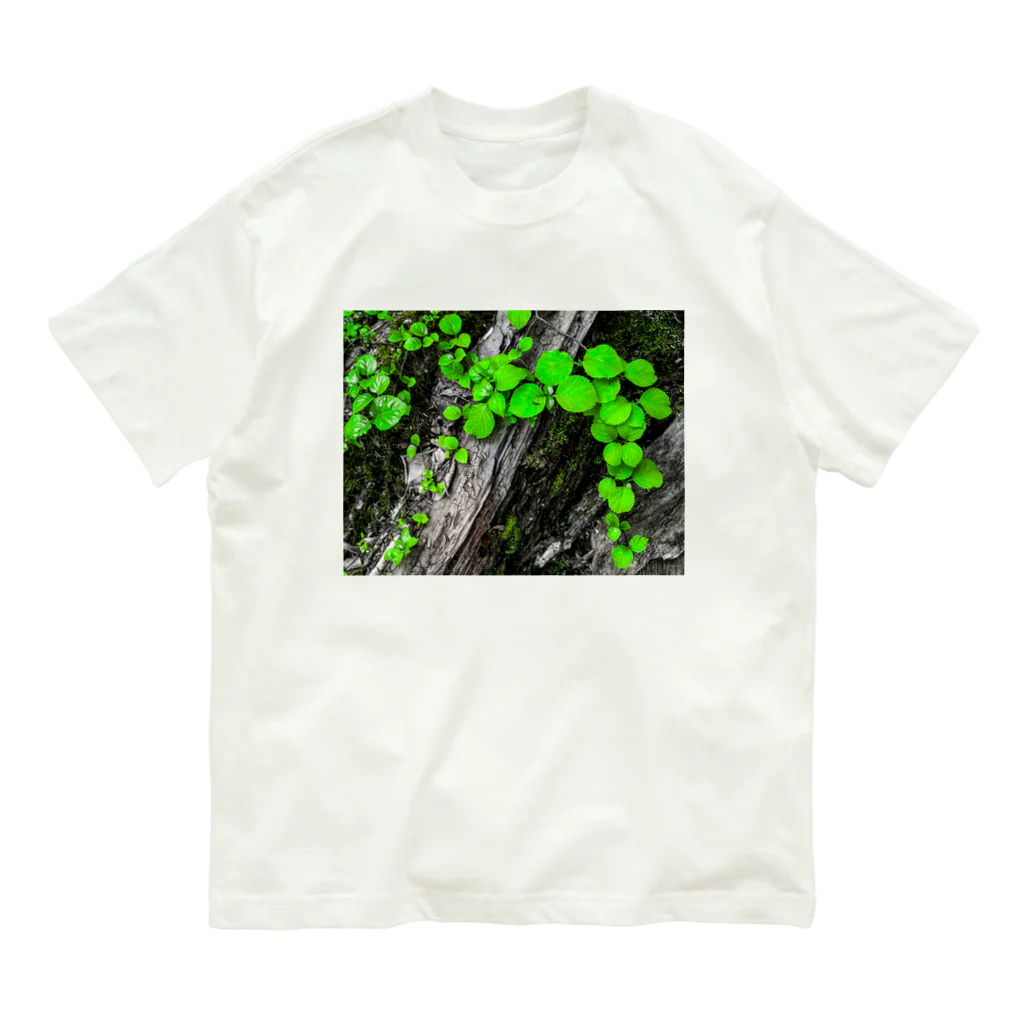 suparnaの探究 Organic Cotton T-Shirt