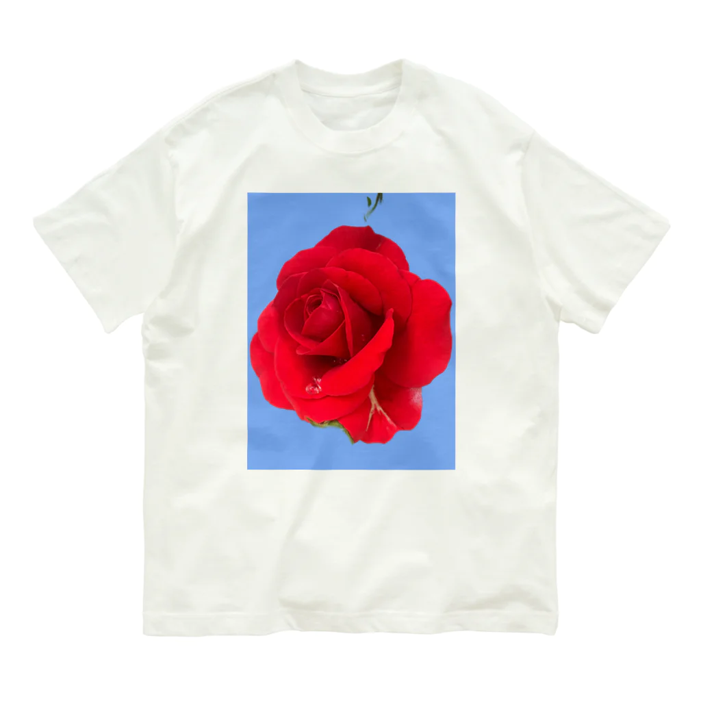 Keykenluの夏にぴったり！ローズスカイ Organic Cotton T-Shirt