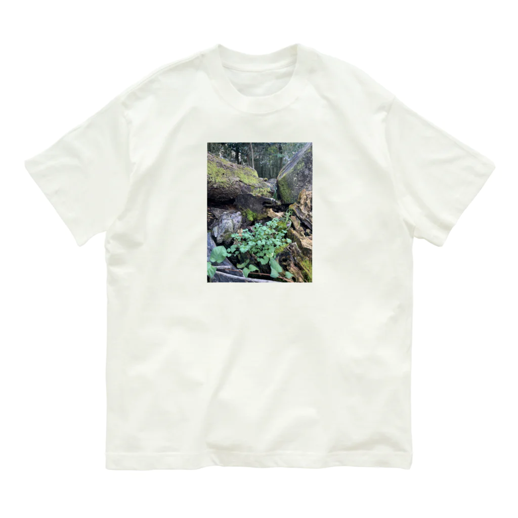FIRE FLYの多様性の森 オーガニックコットンTシャツ