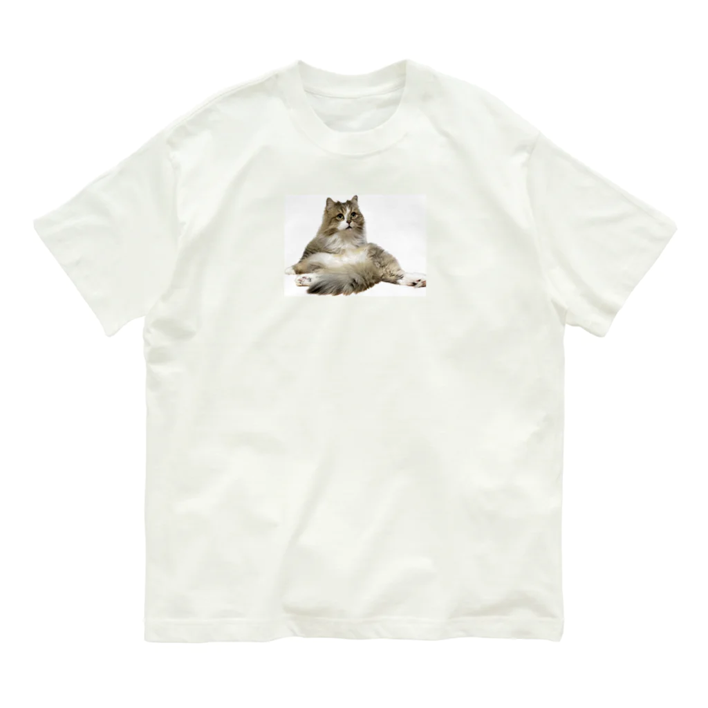 onarisanちのにゃんこたちのおすわりこむにゃんこ Organic Cotton T-Shirt