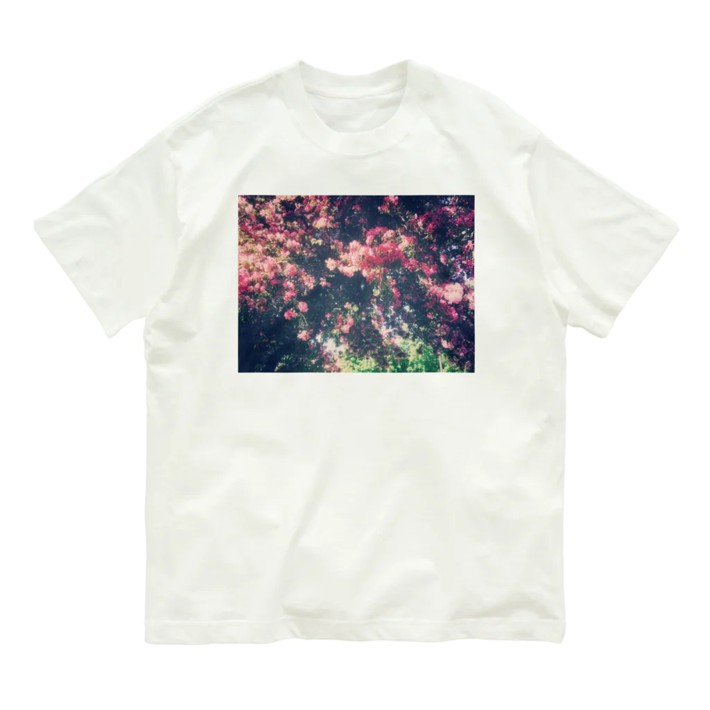 Let's Go for a Walkのromantic flower Organic Cotton T-Shirt