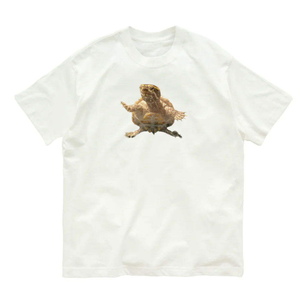 ミシシッピニオイガメの、こてちゃんのコテちゃんだよー！ Organic Cotton T-Shirt