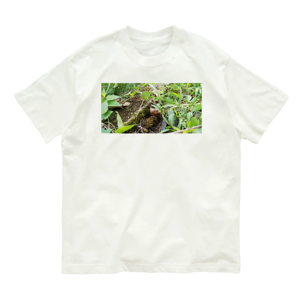 tizujonoboukenの自然豊か オーガニックコットンTシャツ