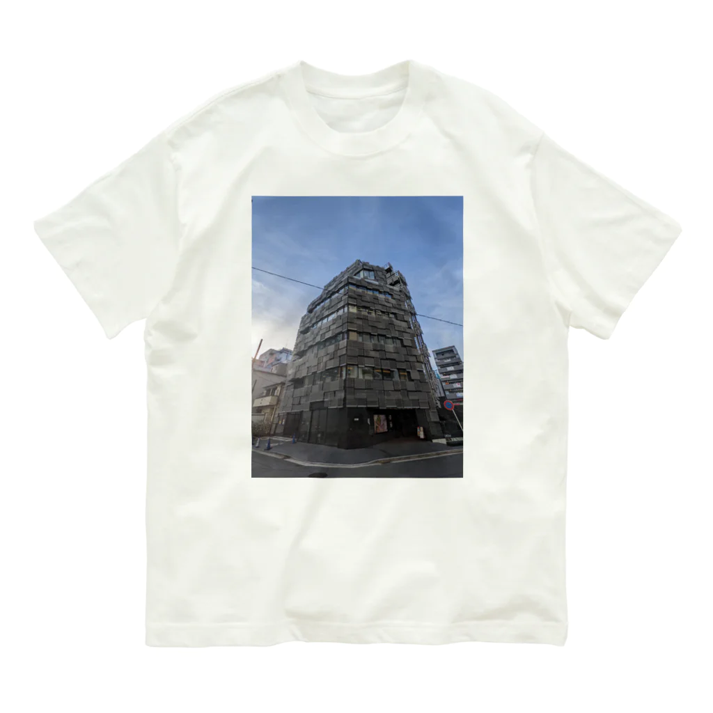 sTussy_0のModern Architecture オーガニックコットンTシャツ