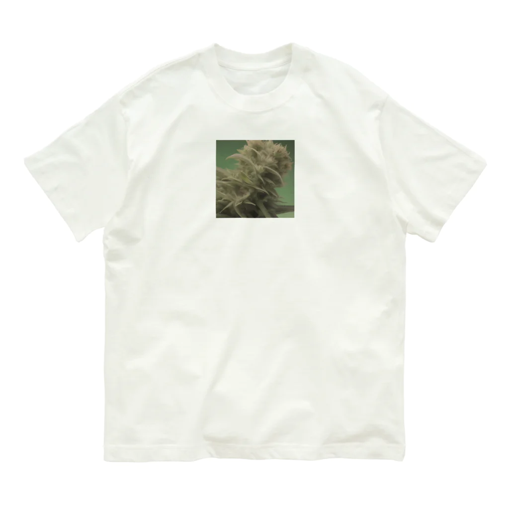 ハイライフコレクションズの42O-0091 フォトゥオーナインティワン Organic Cotton T-Shirt