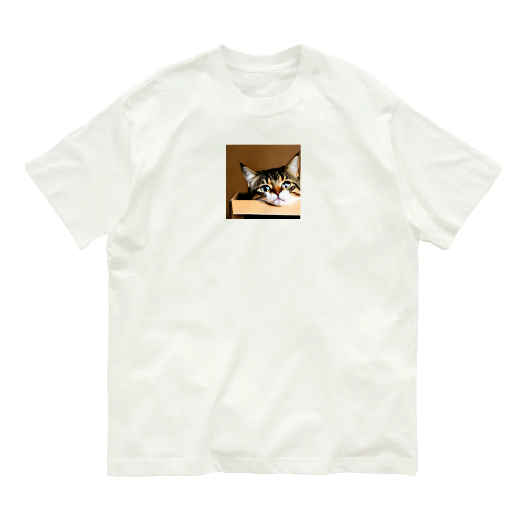 チェリオの箱に入った可愛い猫 オーガニックコットンTシャツ