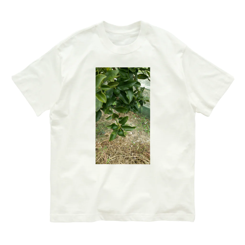 seikonisikooriの緑金柑の実 Organic Cotton T-Shirt