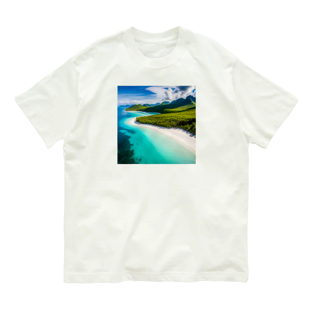 DapperMixの空からの楽園、透明な海グッズ オーガニックコットンTシャツ