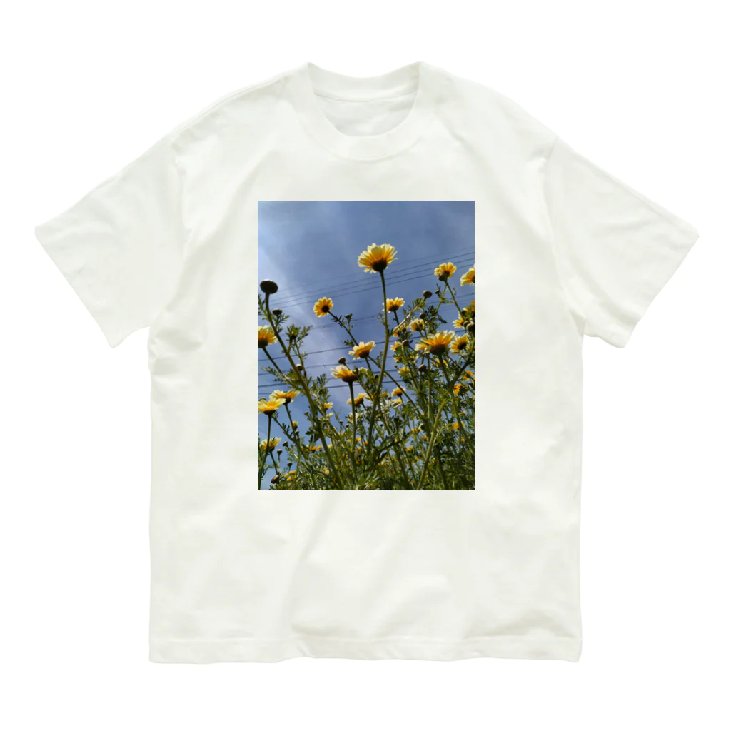 MMの黄色い春菊の花 オーガニックコットンTシャツ