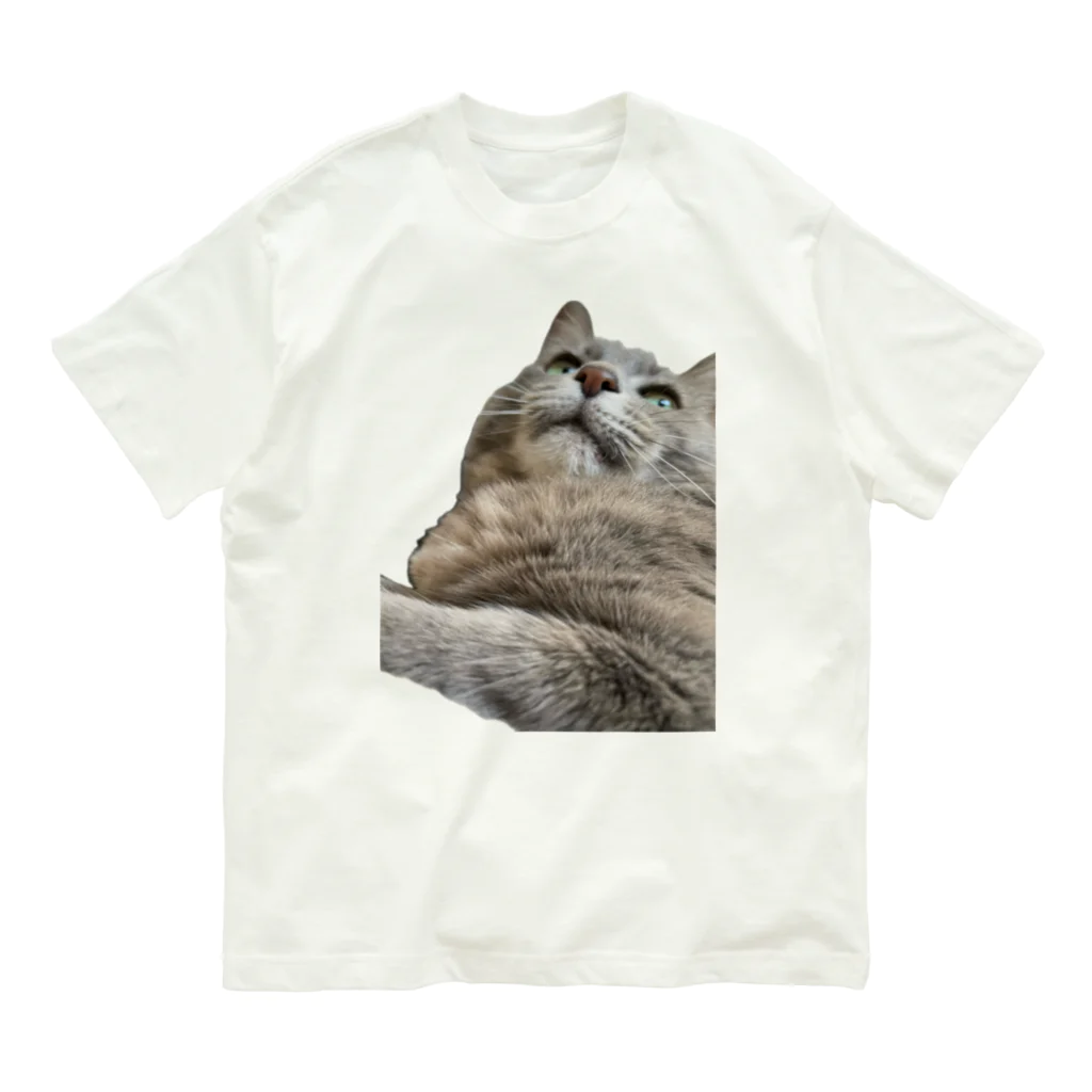 グレージュ猫ロッタン🐈‍⬛のよそ見ロッタン Organic Cotton T-Shirt