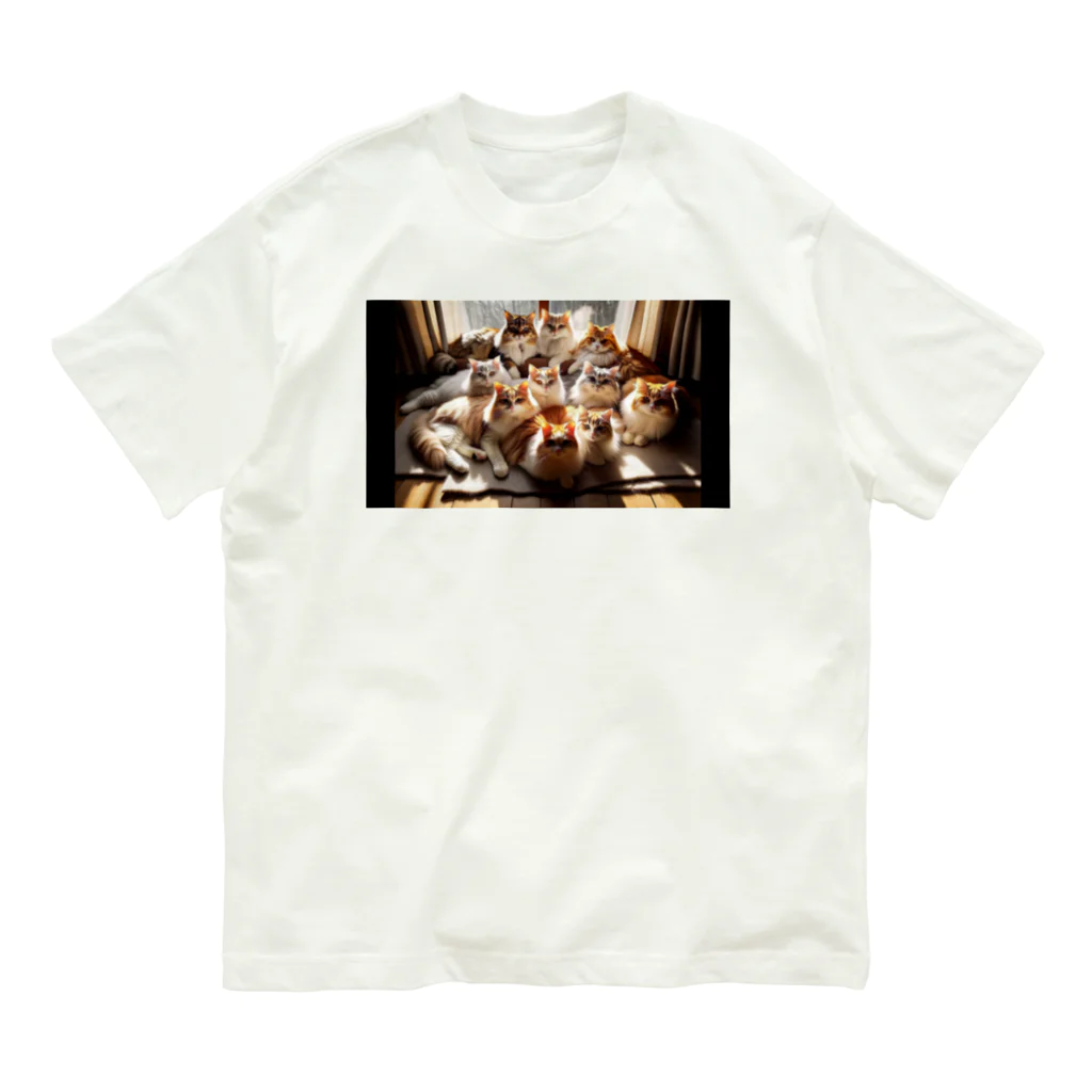 Modern MasteryのFeline Harmony Organic Cotton T-Shirt