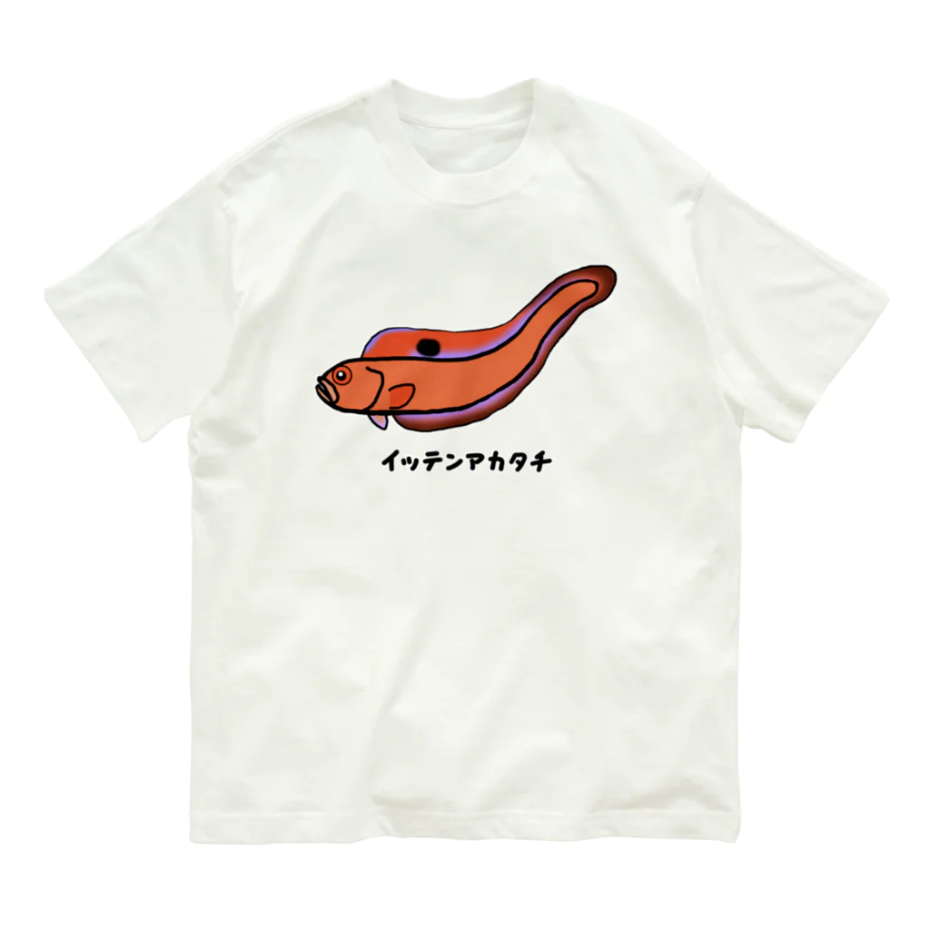 脂身通信Ｚの【魚シリーズ】イッテンアカタチ♪231103 Organic Cotton T-Shirt