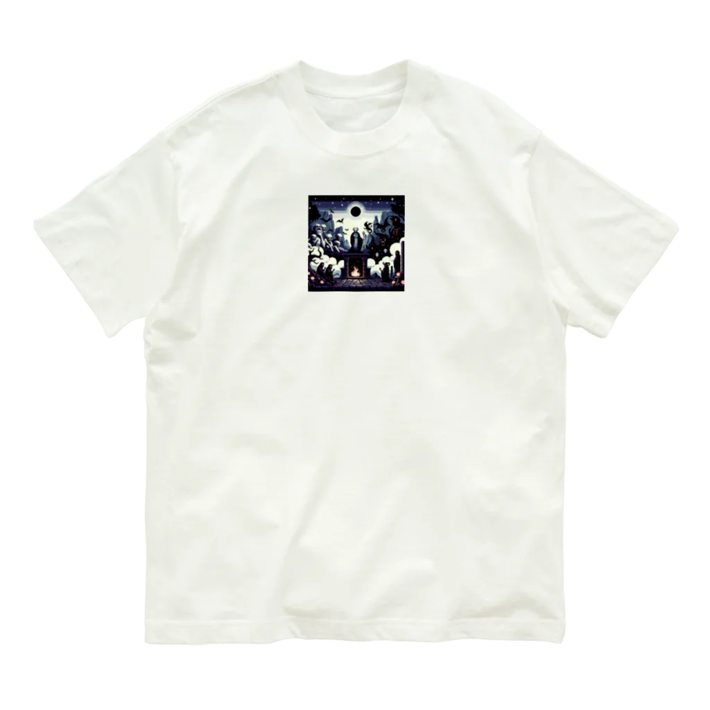 PiXΣLのchaotic meeting / type.1 オーガニックコットンTシャツ