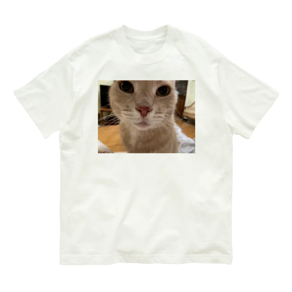 ねこかわたすかるのねこかわたすかる4 Organic Cotton T-Shirt