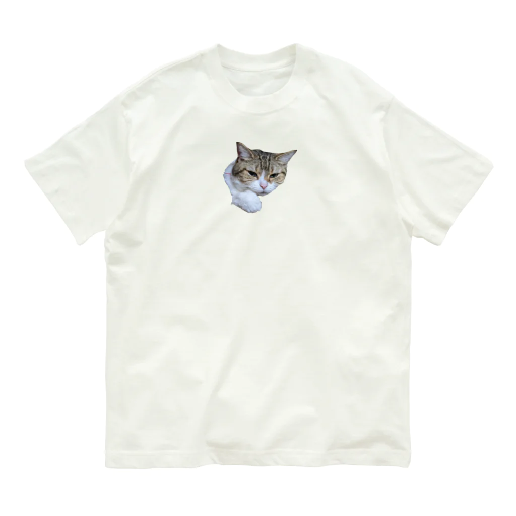 にゃんこ堂 By TeamD2Eの002　懐中こみけ 各種Ｔシャツ オーガニックコットンTシャツ