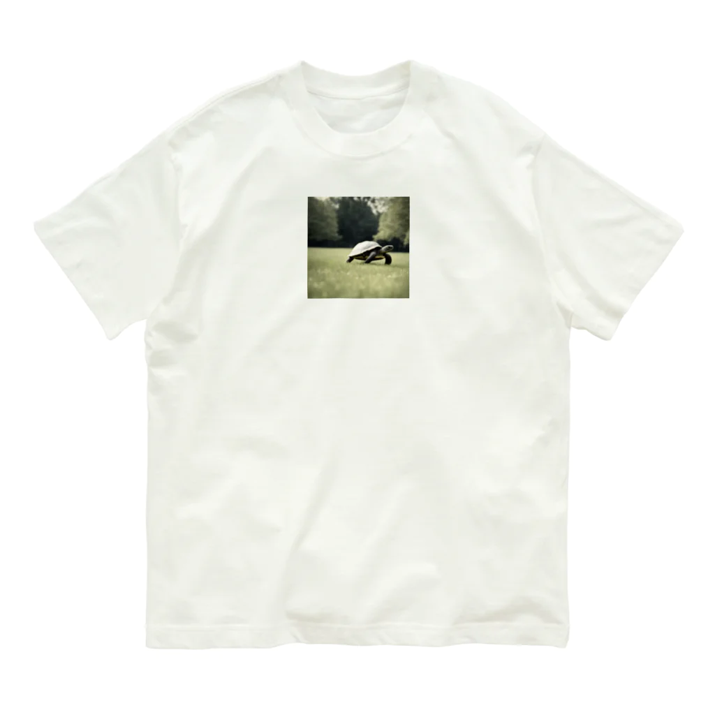 hinn-ketuの４、カメのお散歩 Organic Cotton T-Shirt