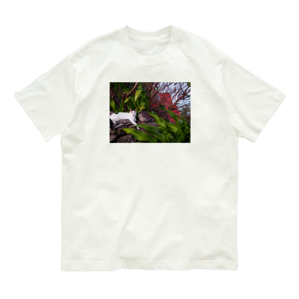 遁世の優雅な猫 Organic Cotton T-Shirt