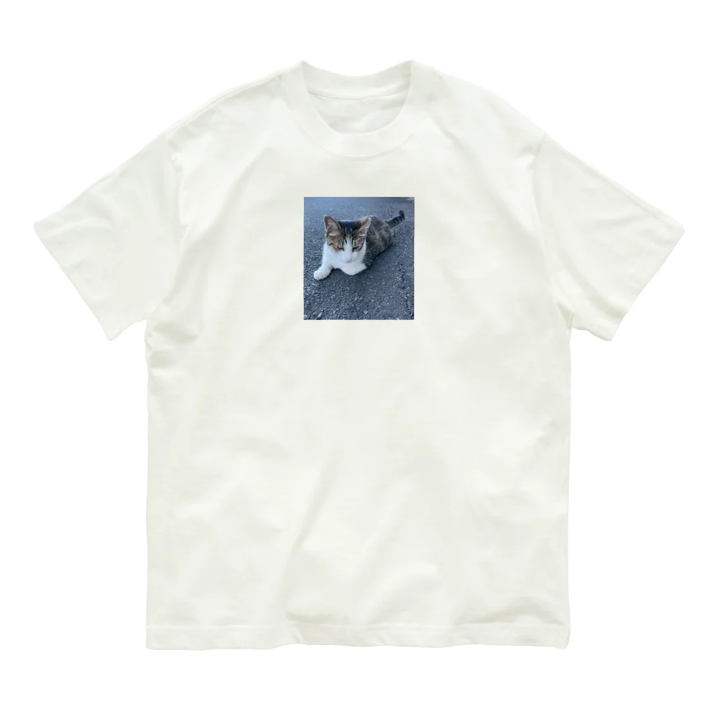 ながしっぽ from.さくらねこの家のながしっぼ typeN Organic Cotton T-Shirt