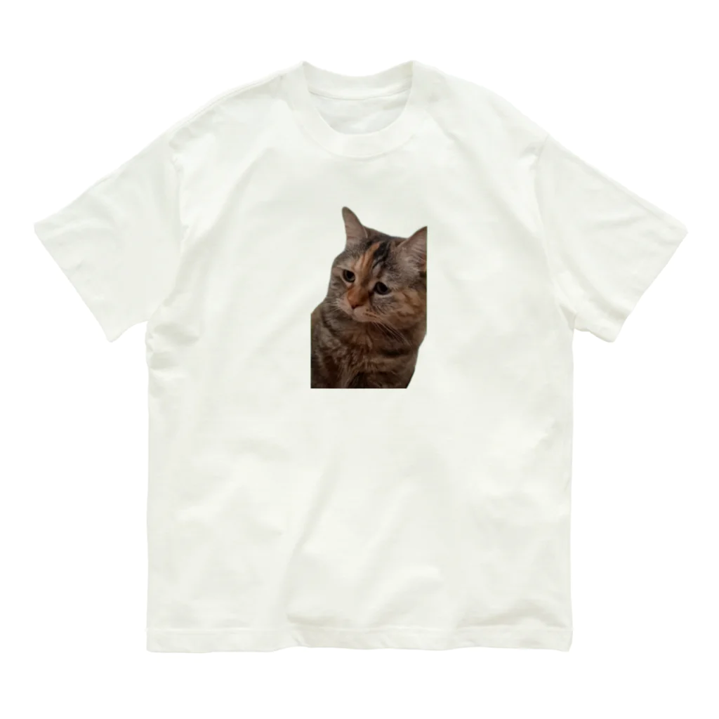 猫ミームグッズの【猫ミーム】叱られる猫 オーガニックコットンTシャツ