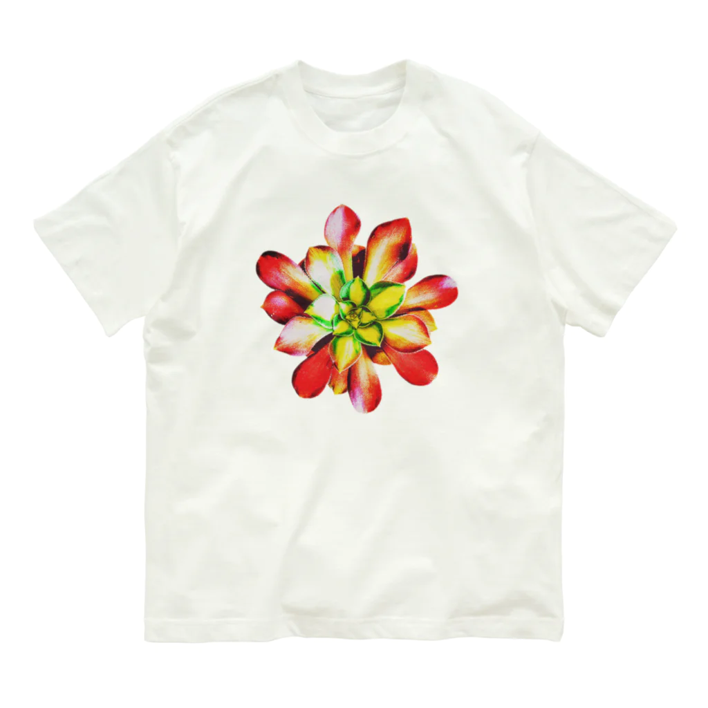 JaachanのSucculents series アエオニウム Organic Cotton T-Shirt