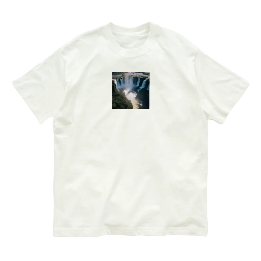 metametamonnのアルゼンチンのイグアスの滝 Organic Cotton T-Shirt