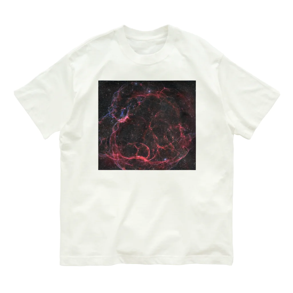 S204_NanaのSH2-240「レムナント」 Organic Cotton T-Shirt