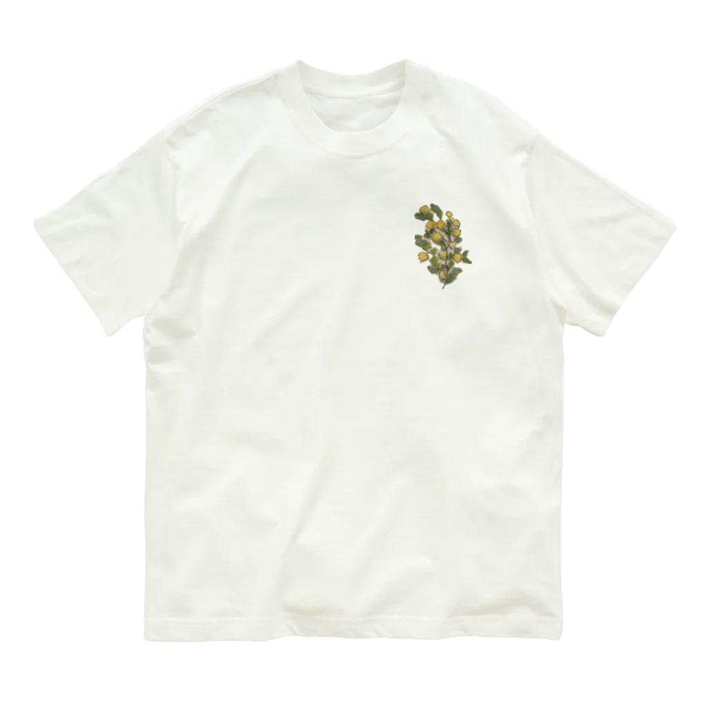 日々の折々のMimonzan オーガニックコットンTシャツ