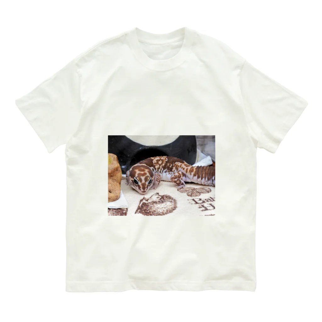 OBIWANREPのニシアフのティナミス Organic Cotton T-Shirt