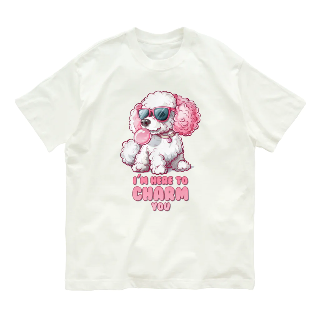 Stylo Tee Shopの魅力するわ オーガニックコットンTシャツ