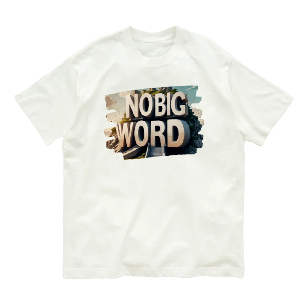 NaROOMのNo Big Wordっていうワードだけでも覚えて帰ってください🤭🤍 Organic Cotton T-Shirt