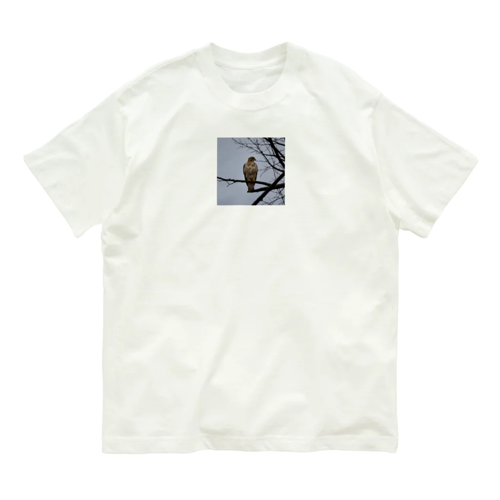 ganeshaの天候の変化に備えるタカ Organic Cotton T-Shirt