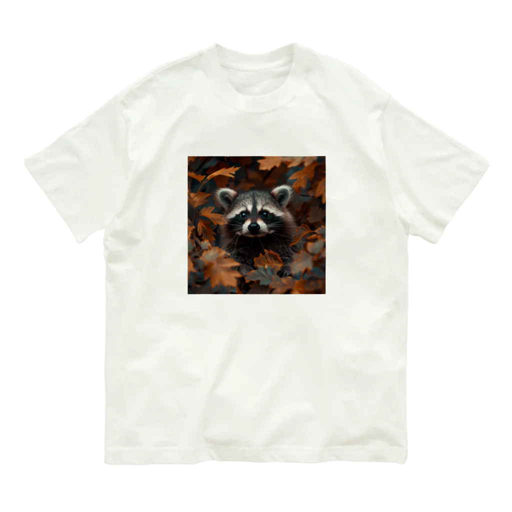 Raccoon Cool PlanetのRaccoon Cool Planet オーガニックコットンTシャツ