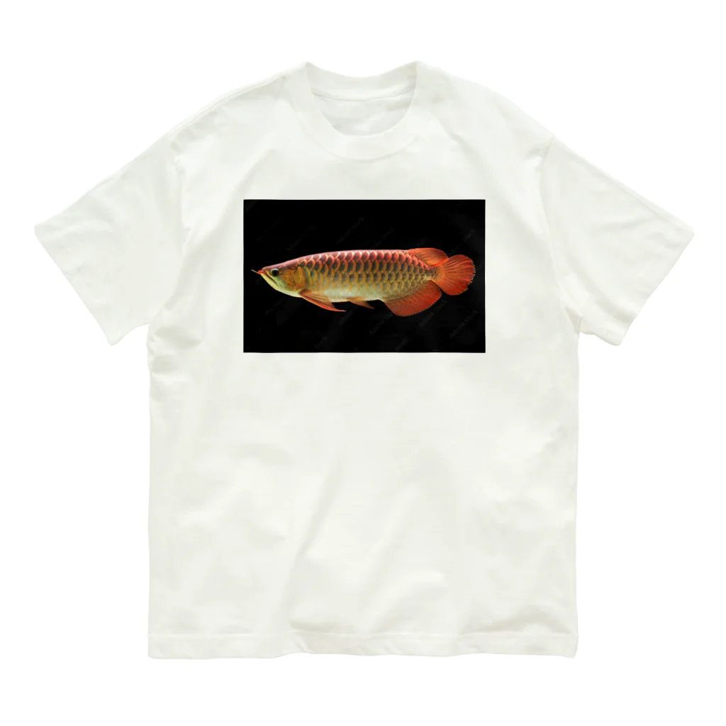 stockboxのアジアアロワナ グッズ Organic Cotton T-Shirt